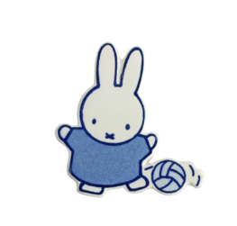 Royal Delft magneet nijntje voetbal