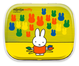 Mintblik nijntje artiest rood