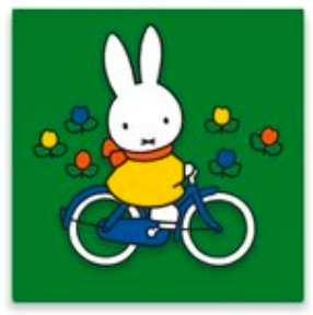 miffy wooden magnet bicycle green 3D