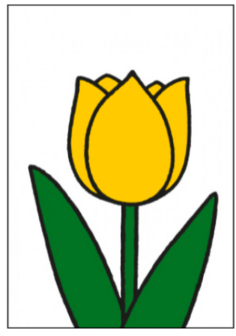 miffy postcard tulip yellow 