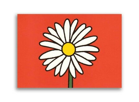 miffy postcard daisy