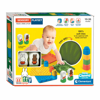 nijntje sensory PlaySet 