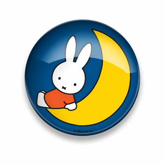 Glasmagneet nijntje maan