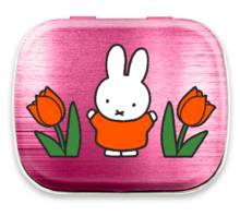 mintblik nijntje tulpen mintblik nijntje tulpen