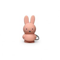 miffy keychain 3D mint Powder