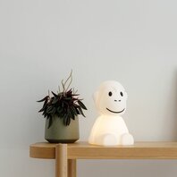 Mr Maria aap eerste licht