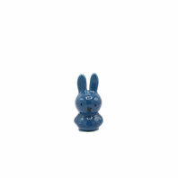 Mini miffy blue